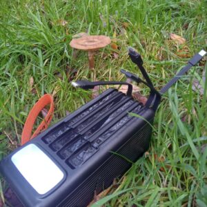 Irish outdoor power bank in grass